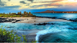 Quần đảo Galapagos có nhiệt độ ôn hòa và độ ẩm thấp hơn, các tán lá xanh tươi phủ khắp hòn đảo
